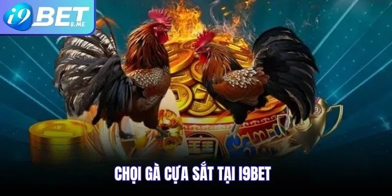 Chọi gà cựa sắt I9bet