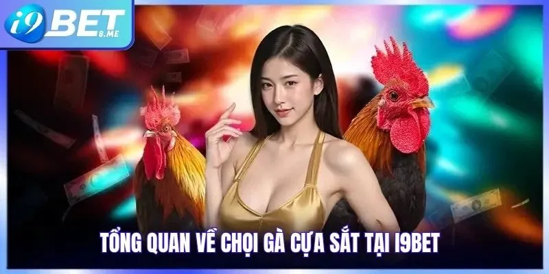 Tổng Quan Về Chọi Gà Cựa Sắt Tại i9bet