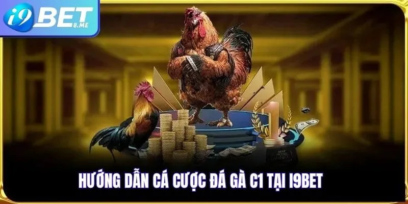 Hướng Dẫn Cá Cược Đá Gà C1 Tại i9bet
