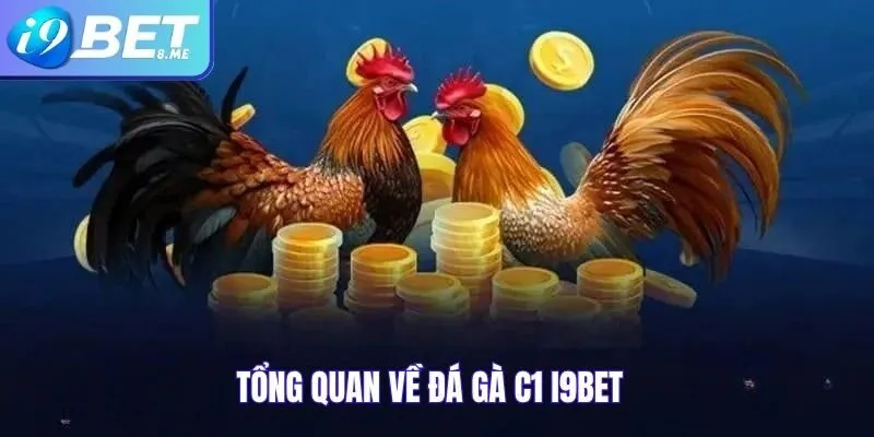 Tổng Quan Về Đá Gà C1 i9bet