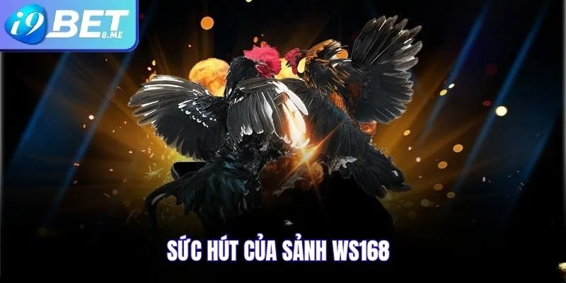 Sức hút của sảnh WS168