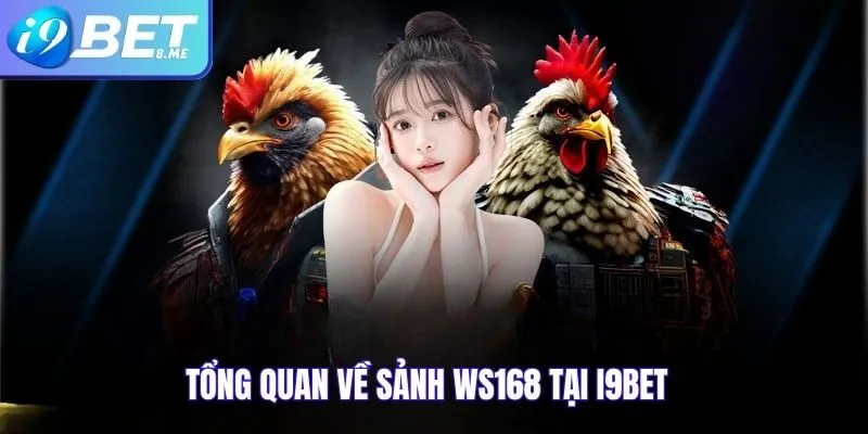 Tổng quan về sảnh WS168 tại i9bet